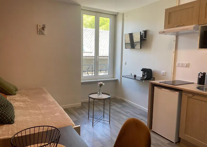 Apartment Le Regis, Des Moments Simples Et Vrais Le Mont-Dore